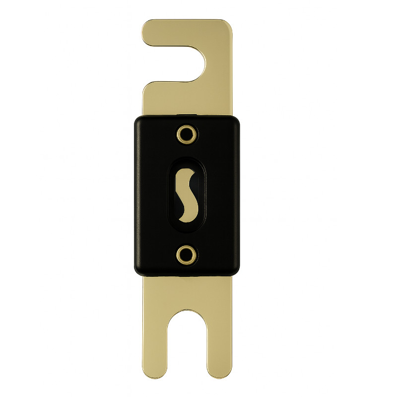 Bezpiecznik Solvian ANL-fuse 100A/100V
